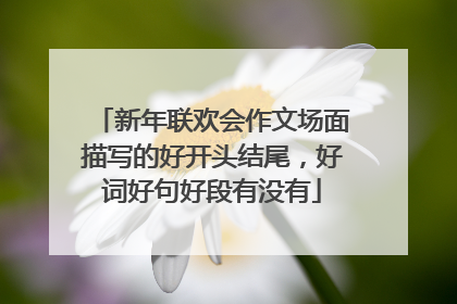 新年联欢会作文场面描写的好开头结尾，好词好句好段有没有