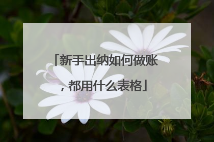 新手出纳如何做账，都用什么表格