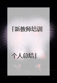 新教师培训个人总结