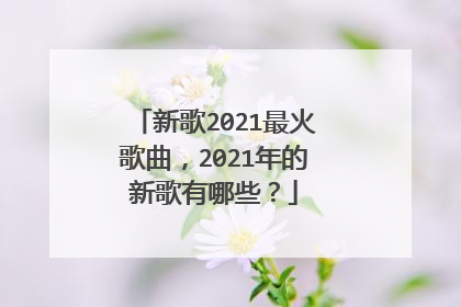 新歌2021最火歌曲，2021年的新歌有哪些？