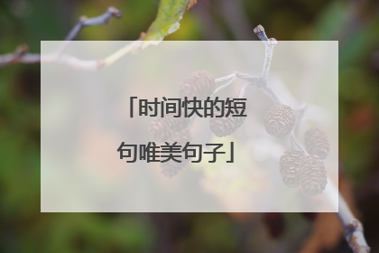 时间快的短句唯美句子