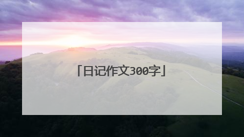 日记作文300字