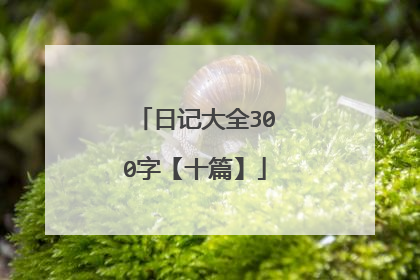 日记大全300字【十篇】