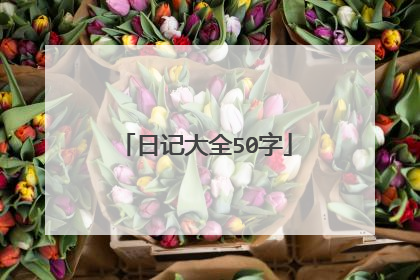 日记大全50字