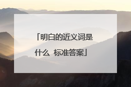 明白的近义词是什么 标准答案