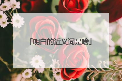 明白的近义词是啥