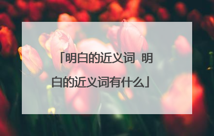 明白的近义词 明白的近义词有什么