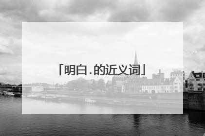 明白.的近义词
