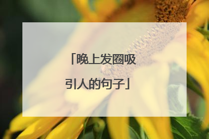 晚上发圈吸引人的句子