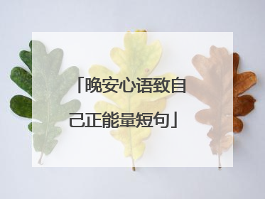 晚安心语致自己正能量短句