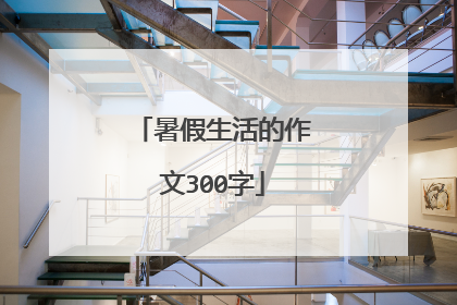 暑假生活的作文300字
