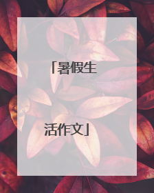 暑假生活作文