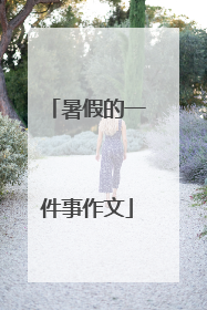 暑假的一件事作文