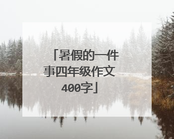 暑假的一件事四年级作文400字