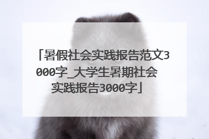 暑假社会实践报告范文3000字_大学生暑期社会实践报告3000字