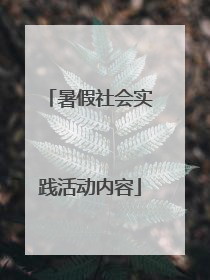 暑假社会实践活动内容