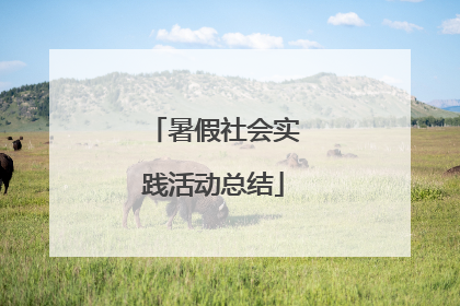 暑假社会实践活动总结