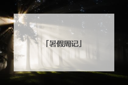 暑假周记