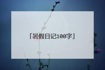暑假日记100字
