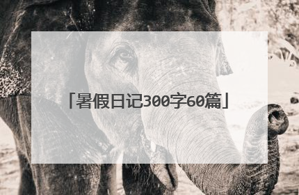 暑假日记300字60篇