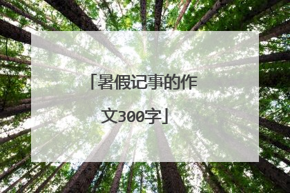 暑假记事的作文300字