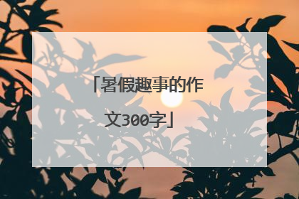 暑假趣事的作文300字