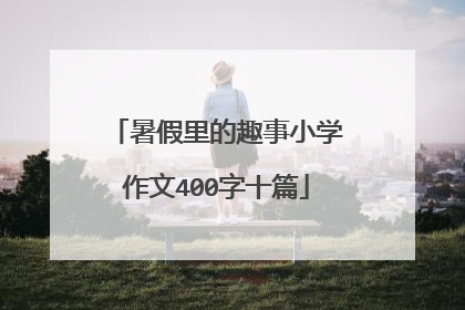 暑假里的趣事小学作文400字十篇