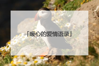 暖心的爱情语录
