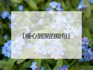 暖心到哭的短句