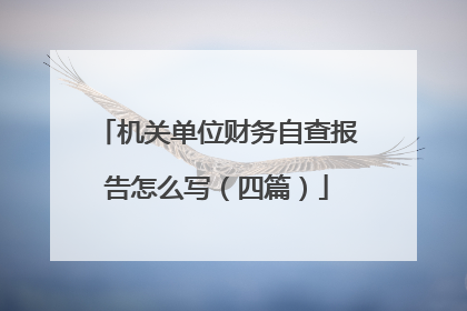 机关单位财务自查报告怎么写（四篇）
