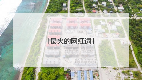 最火的网红词