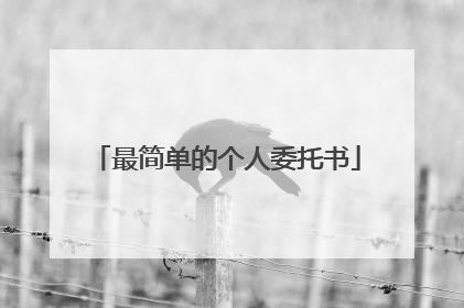 最简单的个人委托书