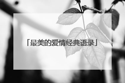 最美的爱情经典语录