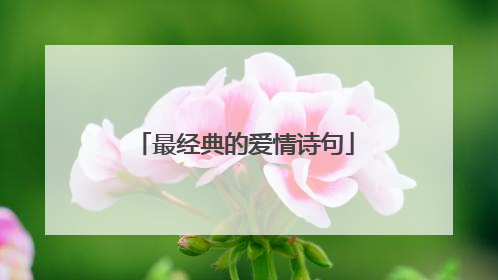 最经典的爱情诗句