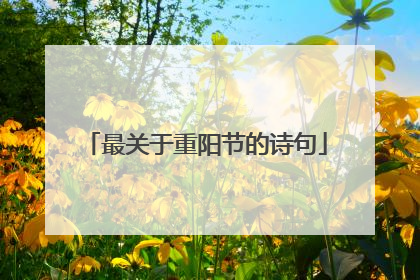 最关于重阳节的诗句