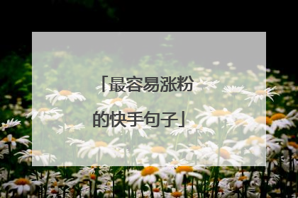 最容易涨粉的快手句子