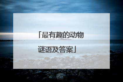 最有趣的动物谜语及答案