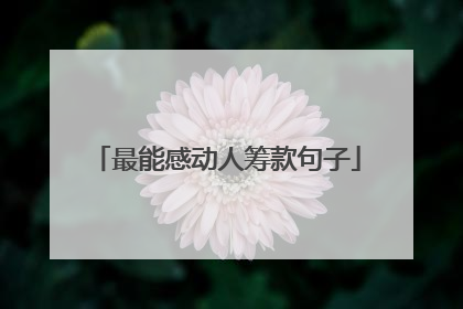 最能感动人筹款句子