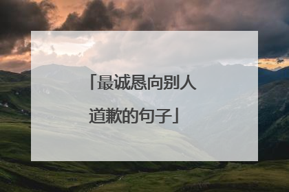 最诚恳向别人道歉的句子