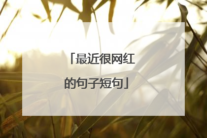 最近很网红的句子短句