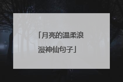 月亮的温柔浪漫神仙句子