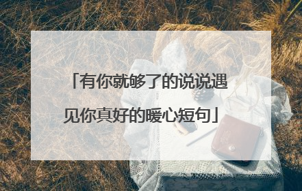 有你就够了的说说遇见你真好的暖心短句