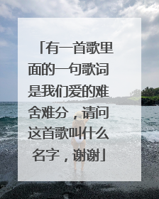 有一首歌里面的一句歌词是我们爱的难舍难分，请问这首歌叫什么名字，谢谢