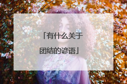 有什么关于团结的谚语