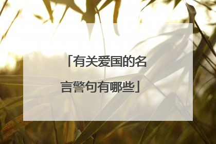 有关爱国的名言警句有哪些