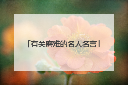 有关磨难的名人名言