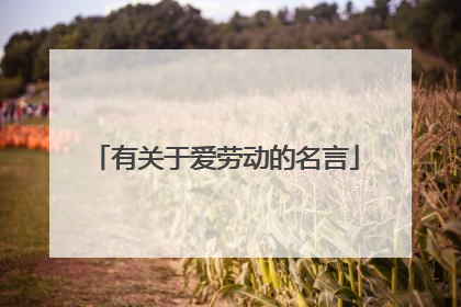有关于爱劳动的名言