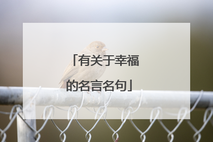 有关于幸福的名言名句