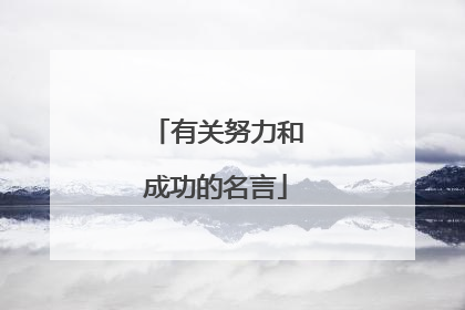 有关努力和成功的名言