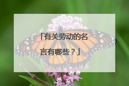 有关劳动的名言有哪些？